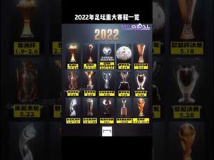镜界穿梭,灵魂觉醒,游戏震撼揭,FIFA,世界杯2026,2026FIFA世界杯预选赛,世界杯门票